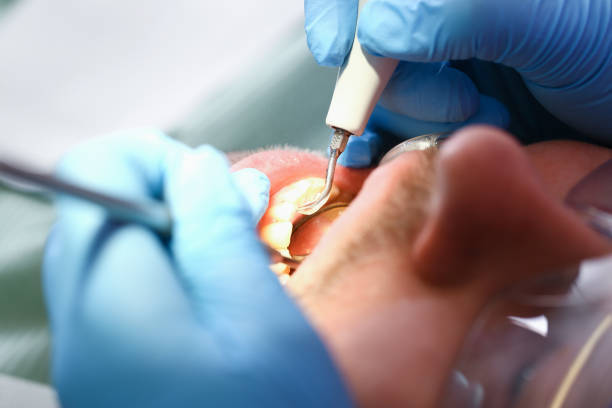 Best Emergency Cosmetic Dentistry in Holly Ridge, NC